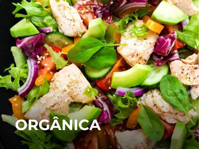 ORGANICA