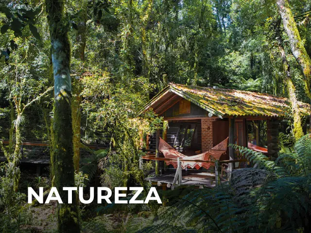 Imersão na Natureza