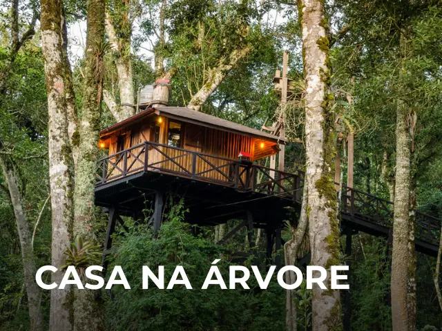 Casa na Árvore
