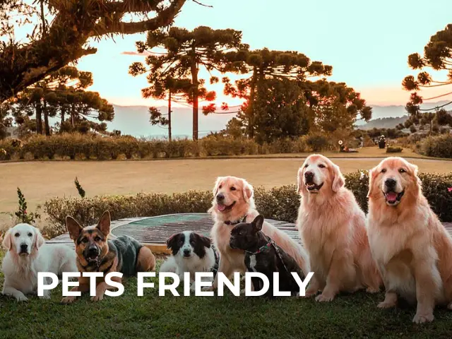 Pets Friendly