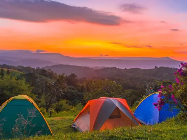 Paraíso das Estrelas