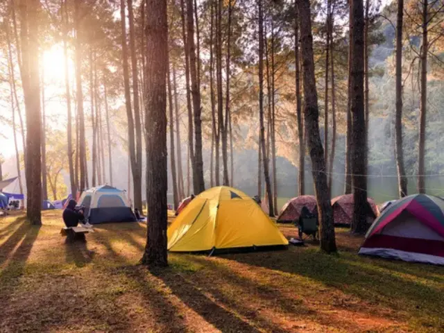 Camping da Aventura Selvagem